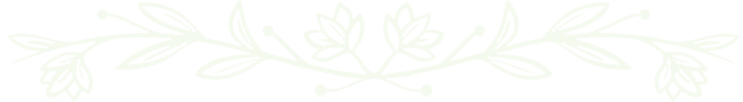 Ornaments v1