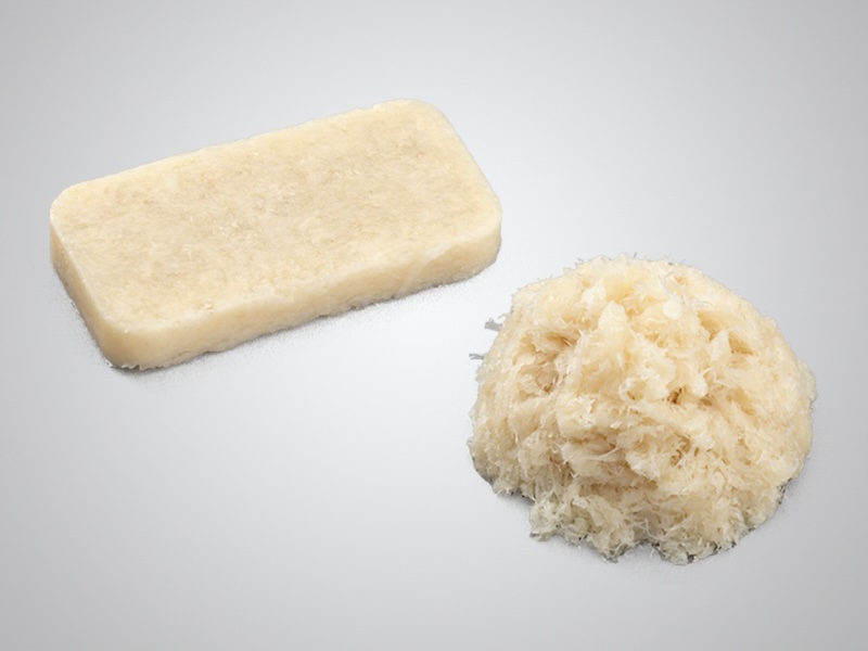 Bone Grafting